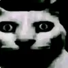 wedwadwdwadw1