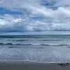 mxganzxx