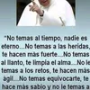 narciso_1000