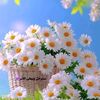 fatma.sabri6