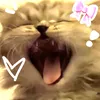 xlx.lils.xlx