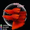 narafishy5