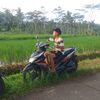 bawokdangawok2