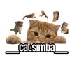 __cat.simba__