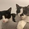 x2hunter