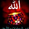 user71829673053835