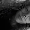 elina_mg_