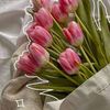 nouf1690