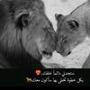 user.maram1235hob