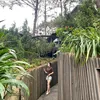 hieunguyen_190