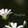 هدوء الليل🩷