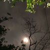 nephophile_017
