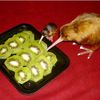 stupid_bitch_pinkie_kiwi