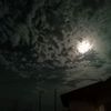 mrsivrknwqq