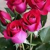 cecireyes3107