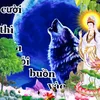 soihoang5968