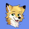 catothefox