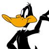 daffyduck525