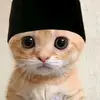 mdikatrisaesar