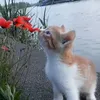 sh_mu.j