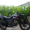 arnold_stm17