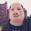john.pork962