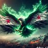 mohand.ebrahim15
