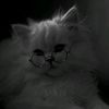 ubaidaleezy1