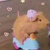 alyanacrazy4me