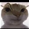 elayiy1111