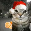 kirol_black