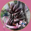 boonlai047