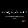 user4900594932402