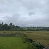 kesatria_sinaga