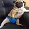 fortnitikics