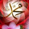 islamic_foryou544
