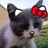 alvaro_simoonn