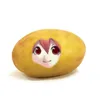 Almond 𖣂