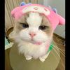 vvanie_4