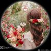 mdsaminahmed92