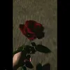 romio_shah