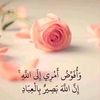 laila.nasser5