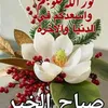 user5101630092950