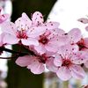 vaann_93