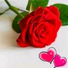 user7744879712029