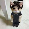 openyourpurse11