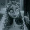 tima23_raad