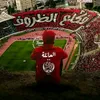 user781369220811