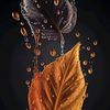 reda_x16