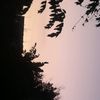 sky_luisa